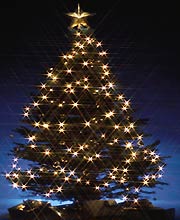 20051224142738-arbol-navidad.jpg