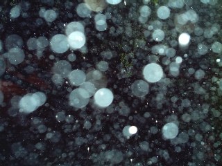 20060130232432-rain-night01.jpg