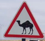 20070308000701-senal-camello.jpg